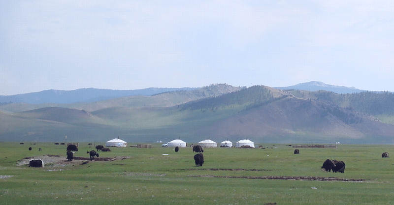 モンゴルの草原 馬に乗って ゆみ フリーランス Note