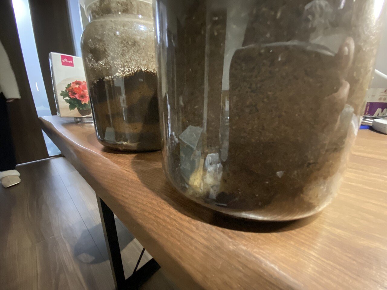 クワガタ カブトムシ育成のために人工蛹室の作成してみた Noriaki Kawanishi 田舎暮らしデザイナー Note クワガタ カブトムシ育成のために人工蛹室の作成してみた Noriaki Kawanishi 田舎暮らしデザイナー Note