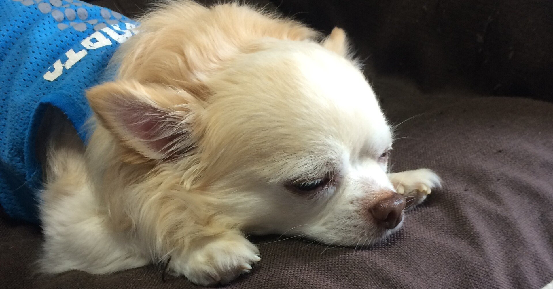 小説 犬も歩けば時代を超える 2話目 有馬優 Note 小説 犬も歩けば時代を超える 2話目 有馬優 Note
