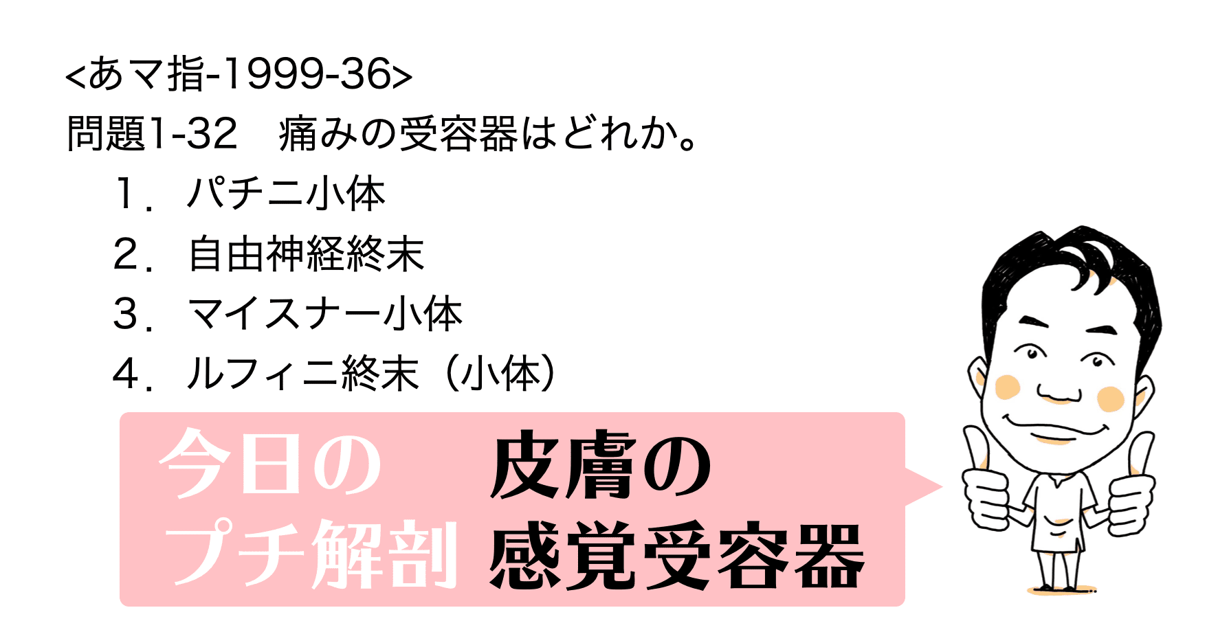 今日のプチ解剖 痛みの受容器はどれ 黒澤一弘 Note