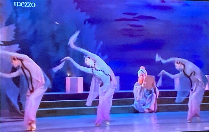 芸術一般 バレエ 韃靼人の踊りとアラビアの踊りの共通性について きーやん Note