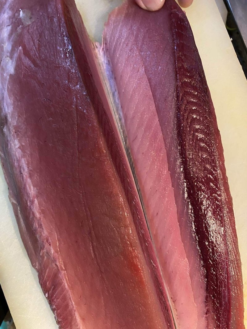 ヨコワとコノシロ Toru Kadoya Note