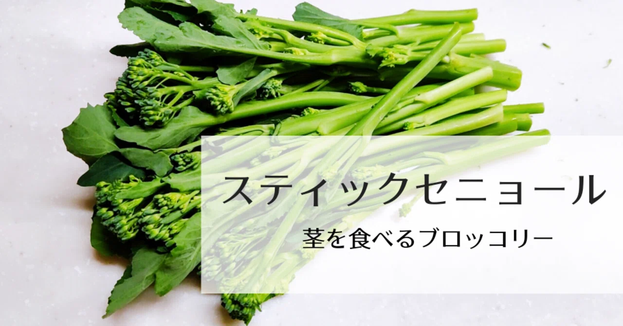 スティック セニョール 修家大雄 レストラン ラ フェ Note