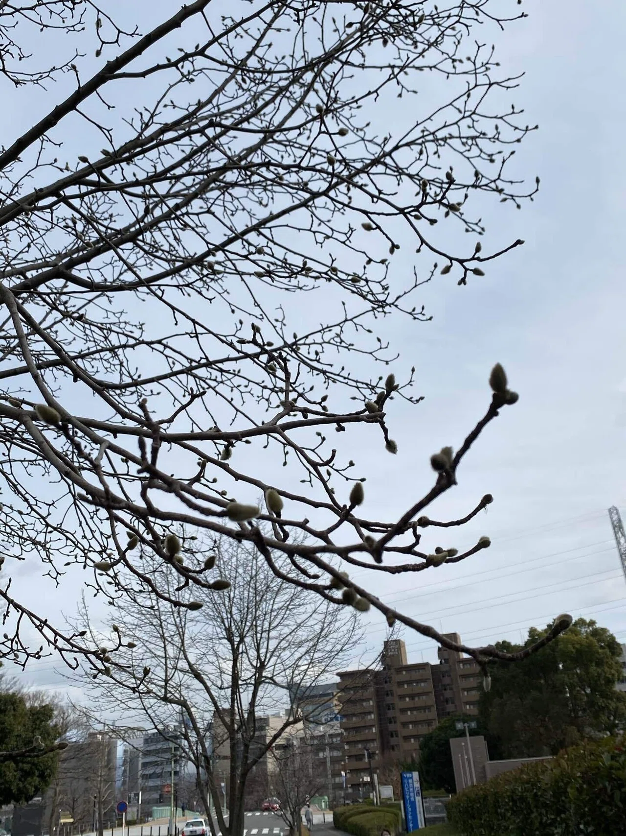 昨晩から実家 母の病院の日 最近は実家に来ても休める事はない 母の活動中は ほぼつきっきりとなる なんだろ 子供になったかな 食欲はバッチリある 元気 ただ 1つづつ そう1つづつしか考えられ Comfy In Yasuko Note