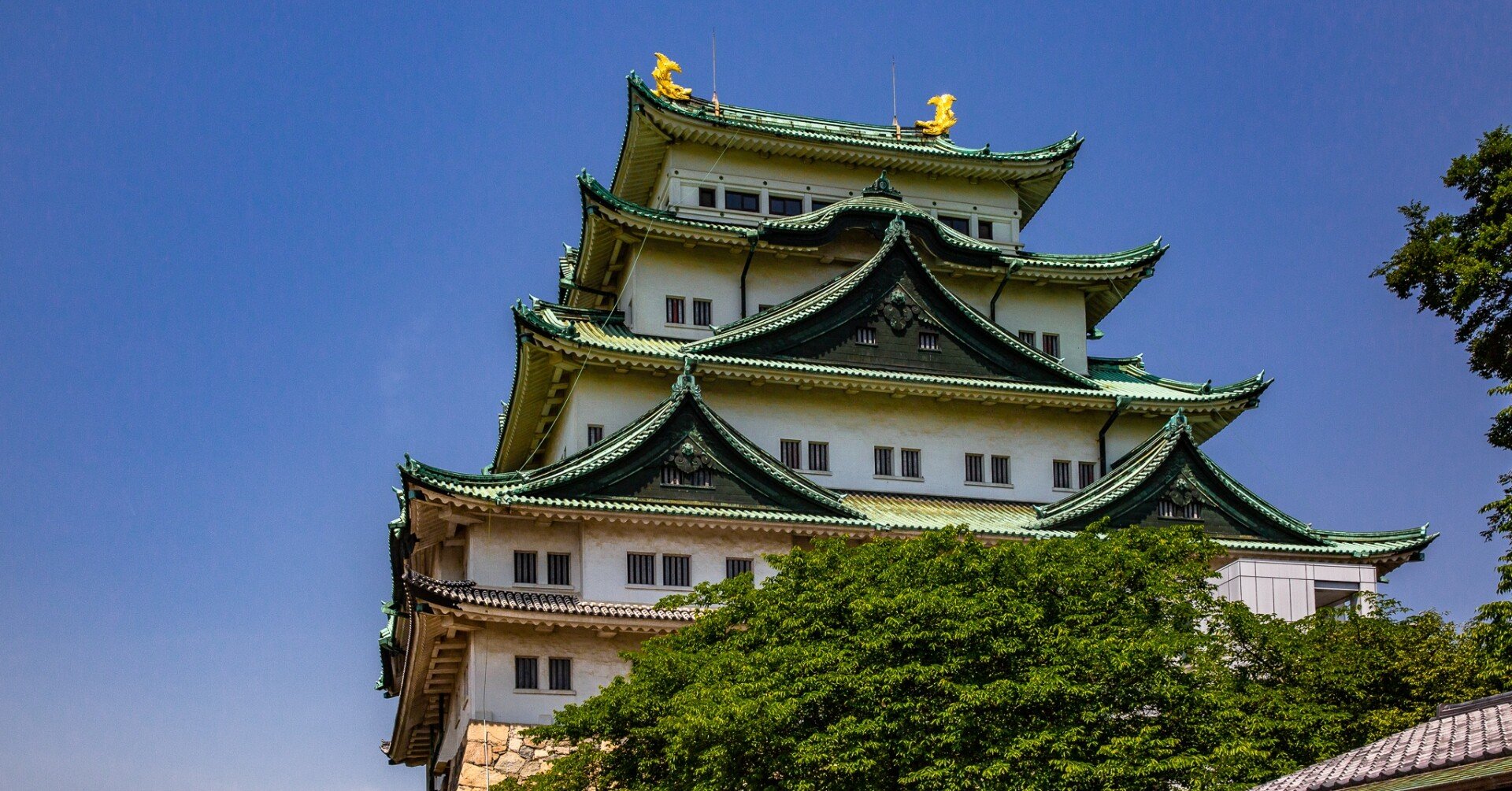 e56d0073a22d327d40e5e0a1e47798