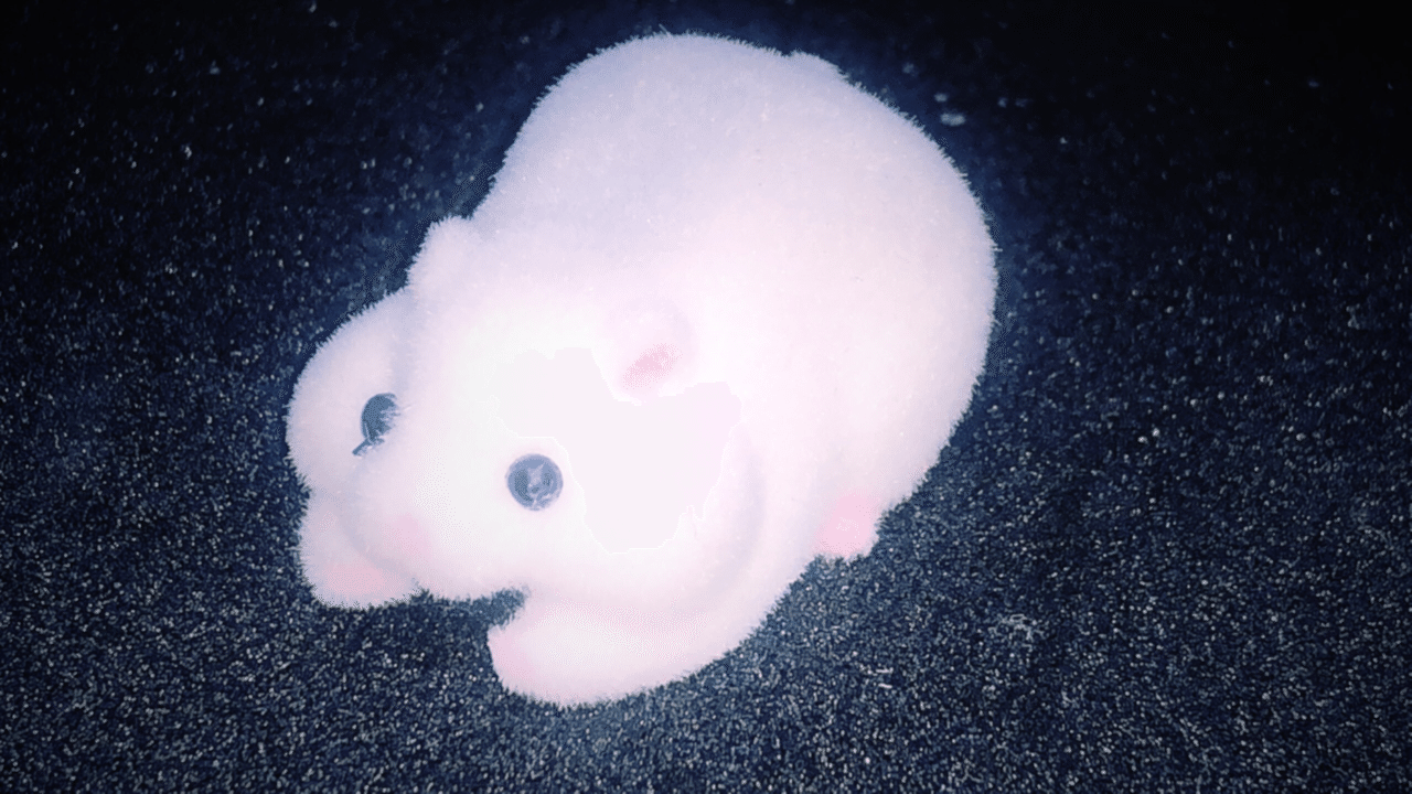 ケーブルかじかじハムスター グレー Mash Note