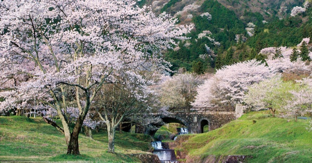 真昼の月は所在なく霞んでる 貢がれ姫と冷厳の白狼王 獣人の万能薬になるのは嫌なので全力で逃亡し