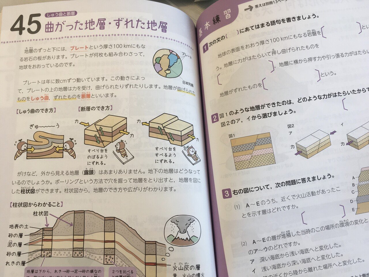 文字を読むのが苦手な中学生向けの定期テスト勉強法 イラストの多い問題集 ねこ Note