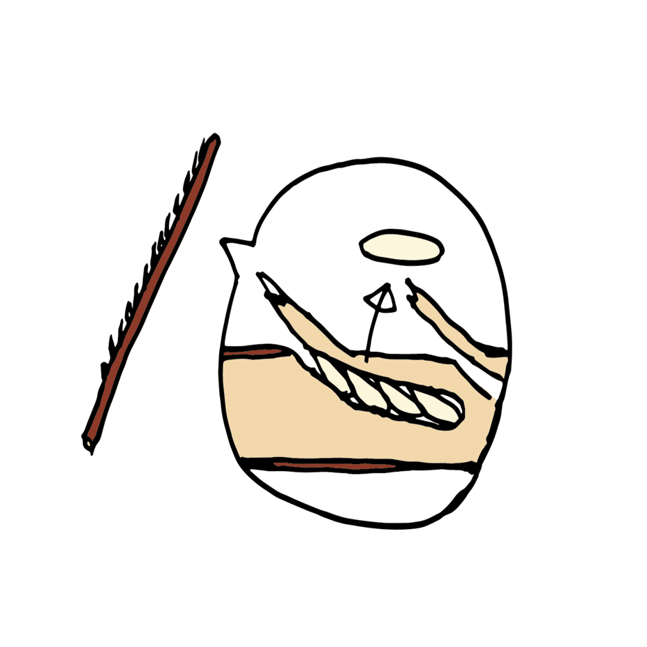 旬ではない生き物の観察 セミをめぐる冒険 浜松科学館 みらいーら