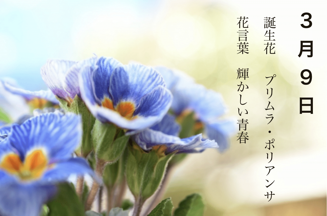 プリムラ ポリアンサ Essay On Flowers Green Calendar By Note プリムラ ポリアンサ Essay On Flowers Green Calendar By Note