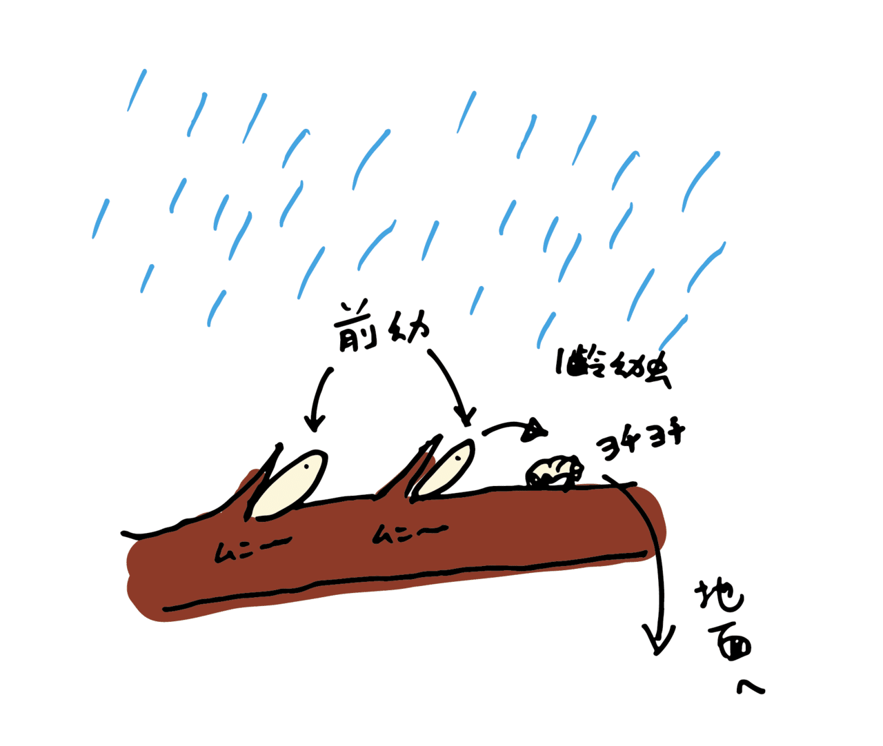 旬ではない生き物の観察 セミをめぐる冒険 浜松科学館 みらいーら 旬ではない生き物の観察 セミをめぐる冒険 浜松科学館 みらいーら