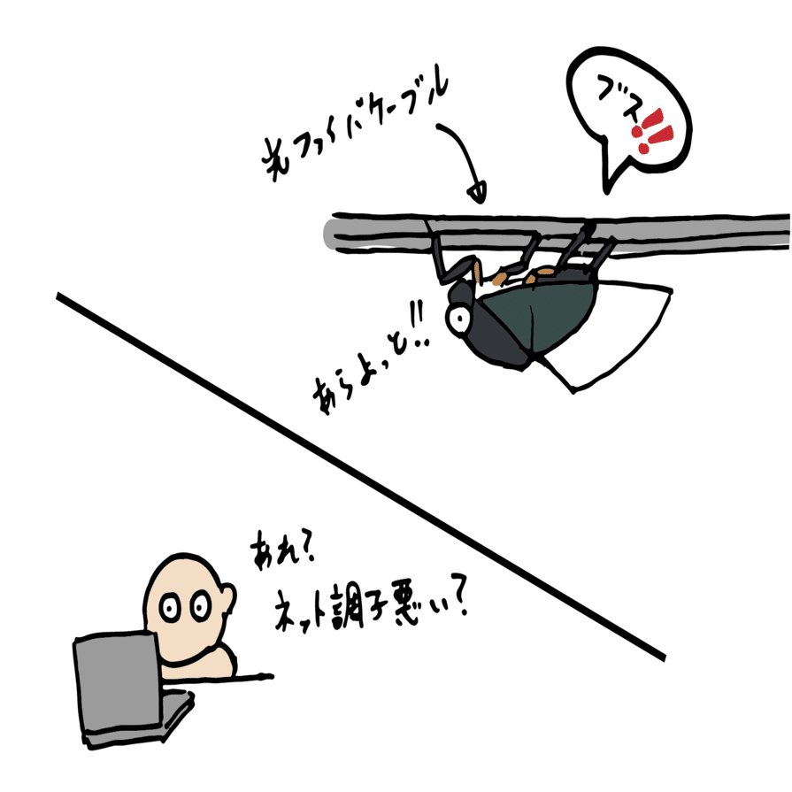 旬ではない生き物の観察 セミをめぐる冒険 浜松科学館 みらいーら