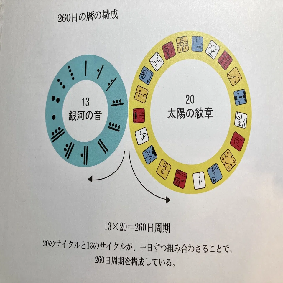 ②マヤ暦、260日の暦について学ぼう！太陽の紋章と銀河の音の関係