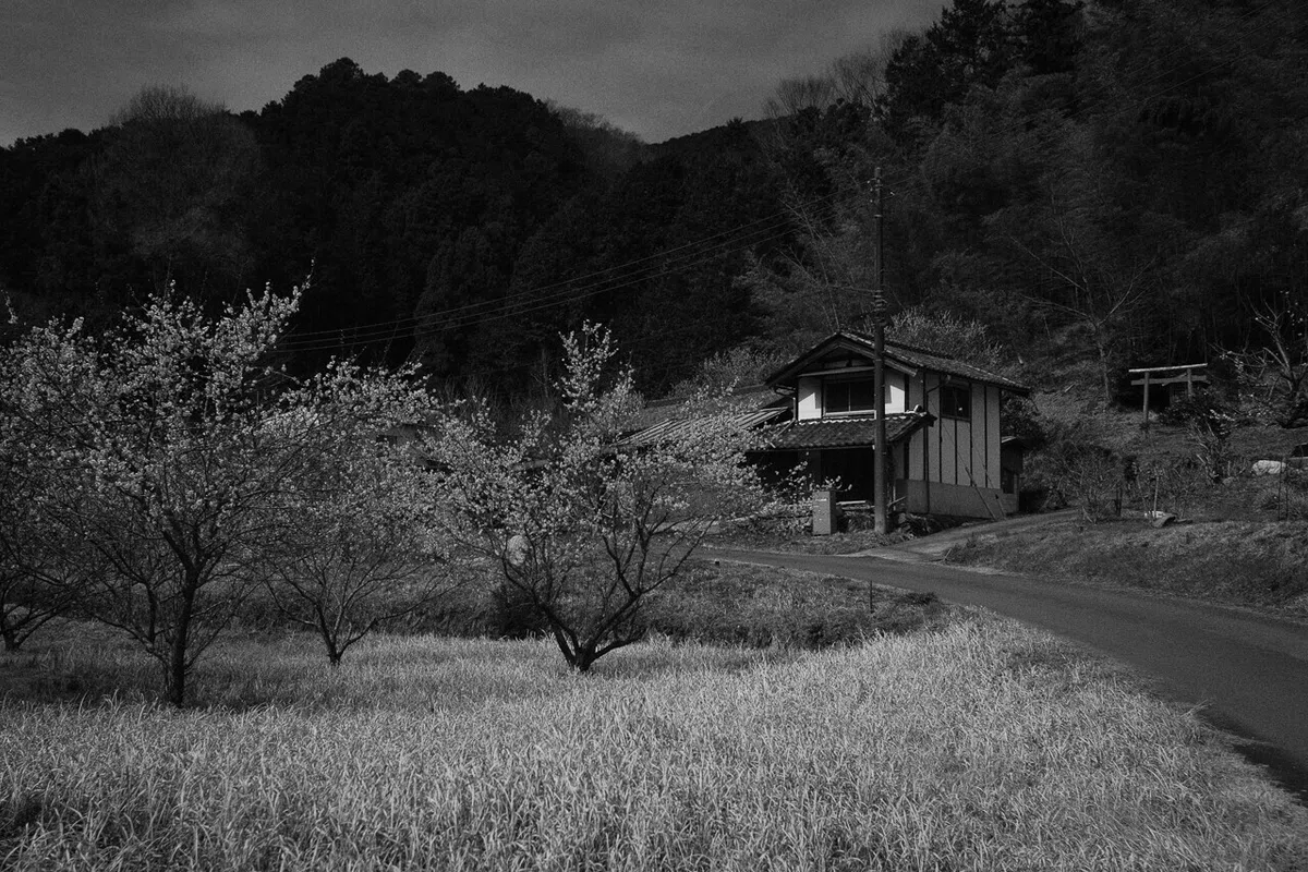 画像41