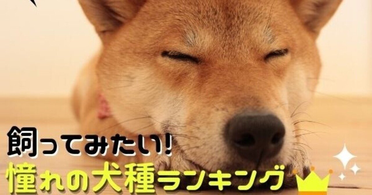 そうなんだ 柴なんだ Ikeiketvblog Note
