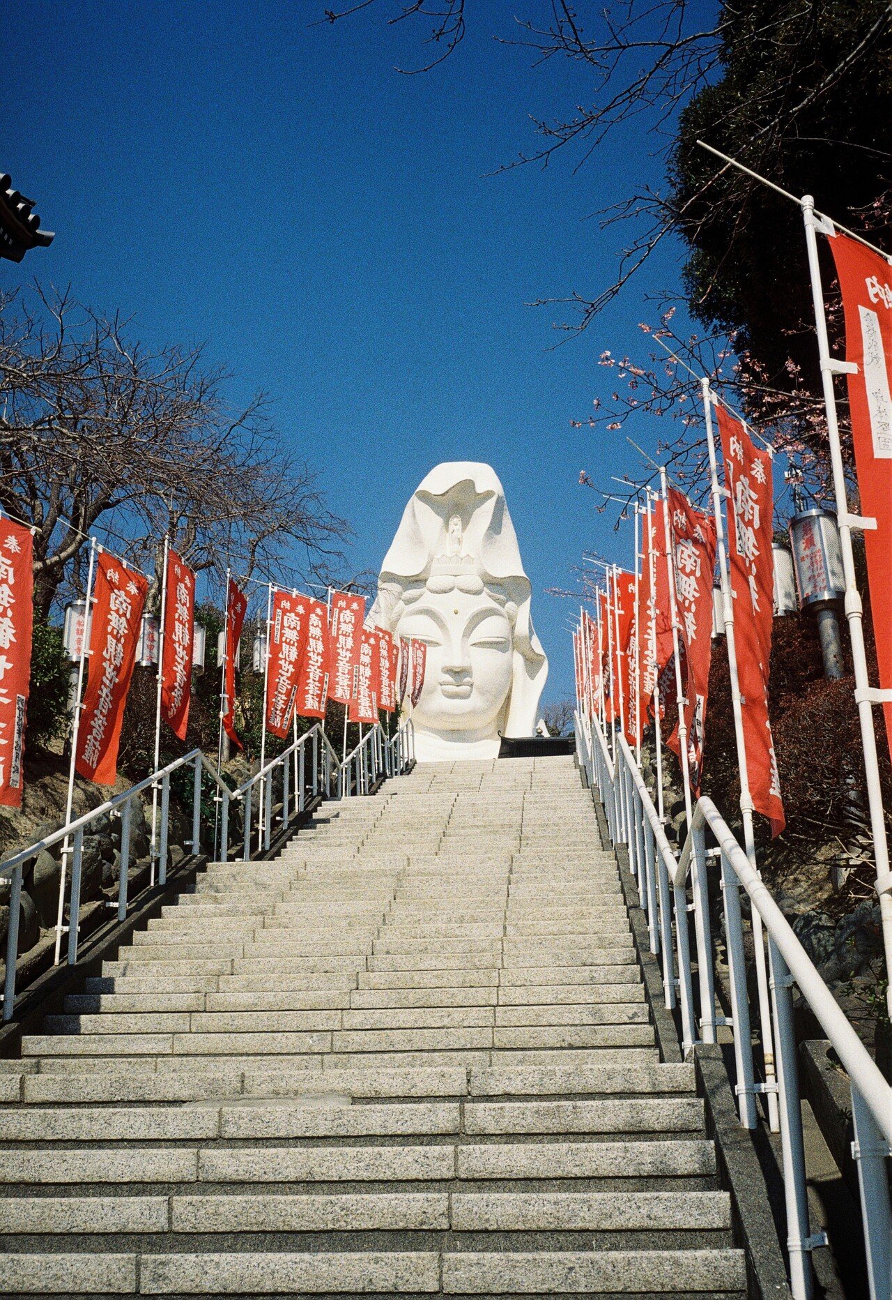 OLYMPUS TRIP35のレンズに驚いた【作例】｜丘村奈央子
