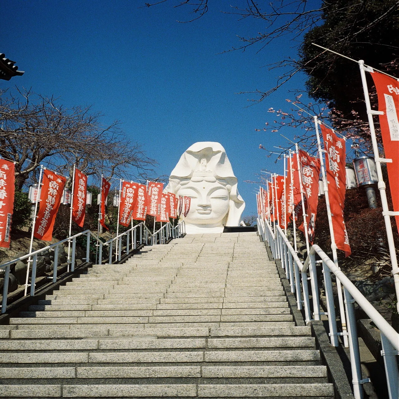 OLYMPUS TRIP35のレンズに驚いた【作例】｜丘村奈央子