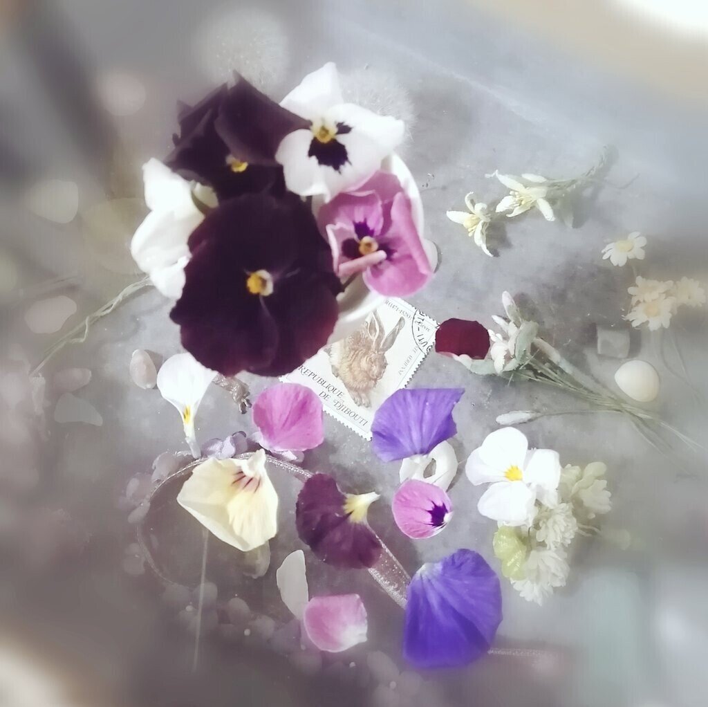 花遊び Coomomoおおはたゆうこ Note