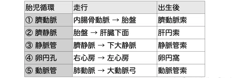 今日のプチ解剖 胎児循環について正しいのはどれ 黒澤一弘 Note