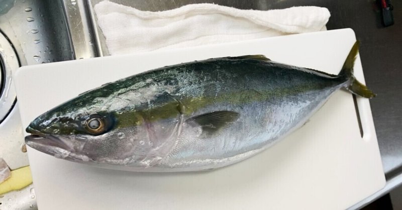 食べる魚コレクション003 ブリ イナダ ワラサ ハマチ おおたしじみ Note 食べる魚コレクション003 ブリ イナダ ワラサ ハマチ おおたしじみ Note