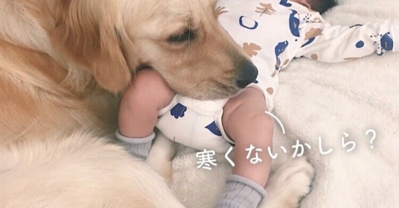 超意識 の新着タグ記事一覧 Note つくる つながる とどける 超意識 の新着タグ記事一覧 Note つくる つながる とどける