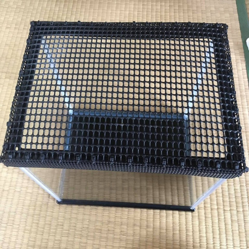 ワイルドベタの跳び出し対策 硝子迷宮回廊 Note