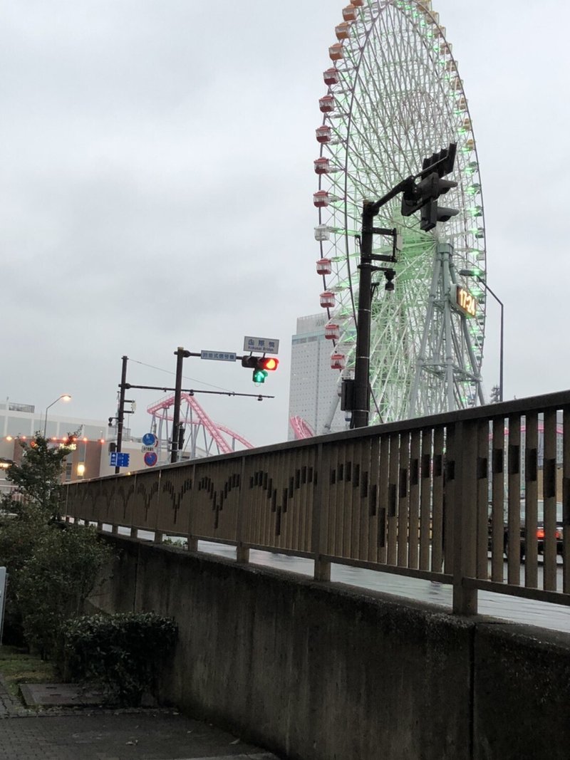 椿と山茶花 サザンカ 花首から落ちるか 花びらが散るかで見分けるという なんともミステリアスな花 藤本裕子 Note