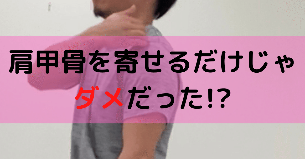 肩甲骨を寄せるだけじゃダメだった 山城しょうや クリーンが上手いトレーナー Note