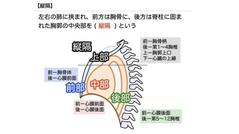 【徹底的国試対策】3-4 呼吸器系 - 肺.066