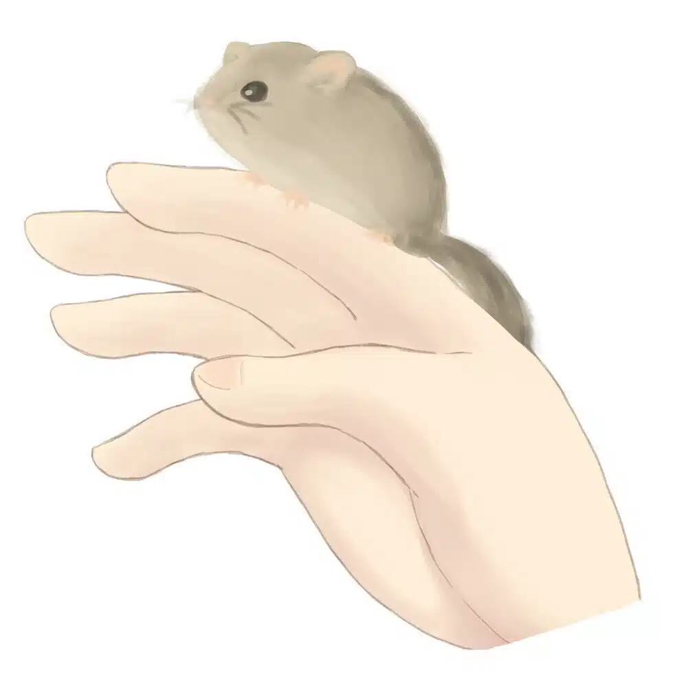 葵むらさき