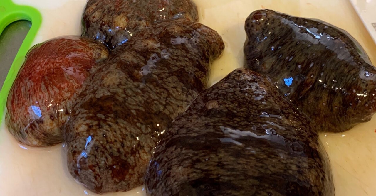 ナマコ ナ マ コ W ゆんちとろんろん Note ナマコ ナ マ コ W ゆんちとろんろん Note