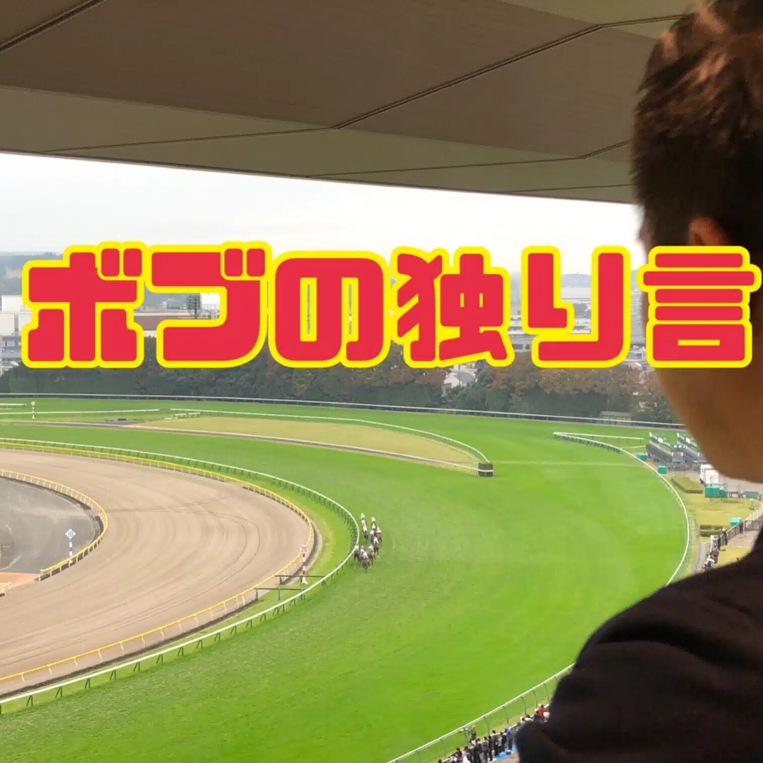ボブの独り言(JRA馬主の独り言)【競馬予想】