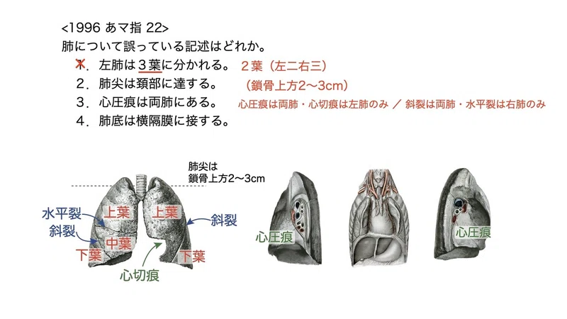3 4 3 呼吸器系 肺 国試過去問解説 黒澤一弘 Note