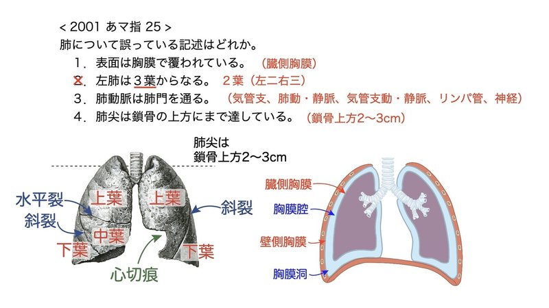 問題89から95 鍼灸師国家試験これだけ勉強法