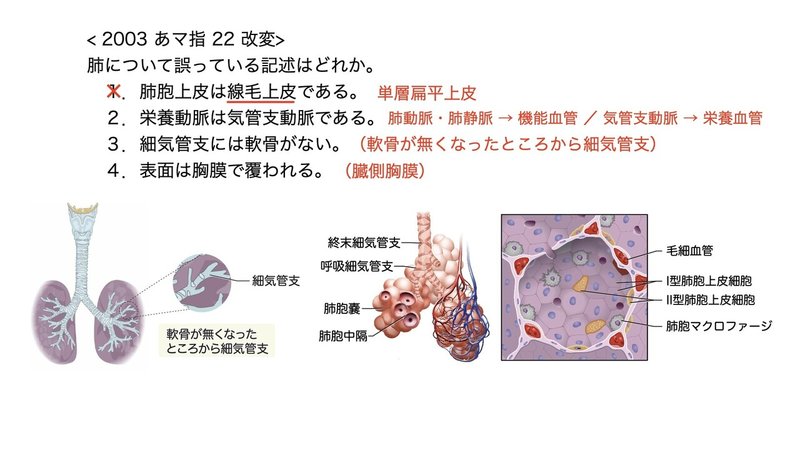 【徹底的国試対策】3-4 呼吸器系 - 肺.085