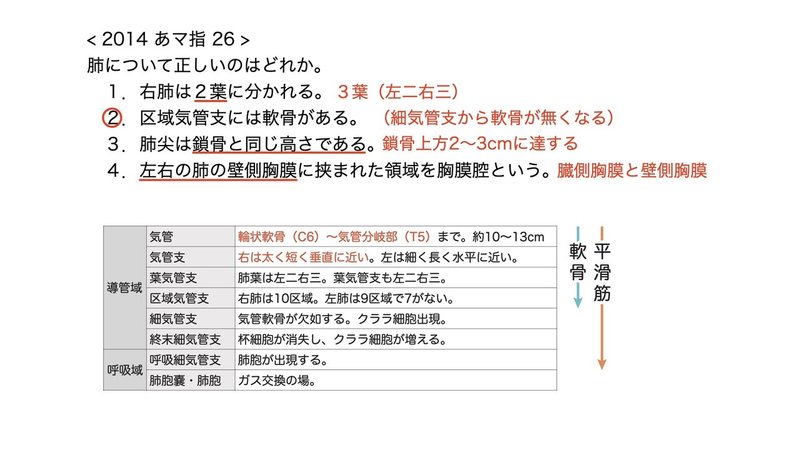 【徹底的国試対策】3-4 呼吸器系 - 肺.086