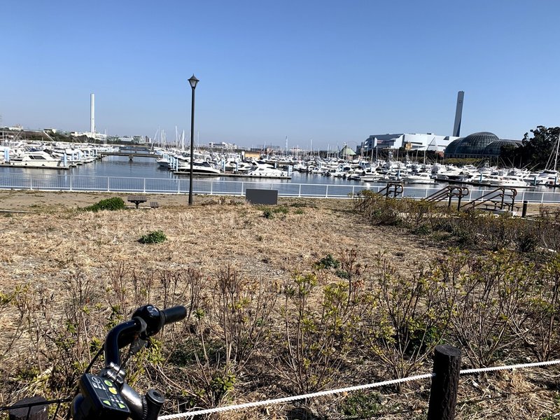 東京都内ひとり遊びのススメ しぶ Note