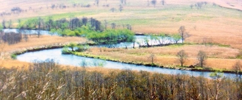 釧路湿原の想い出