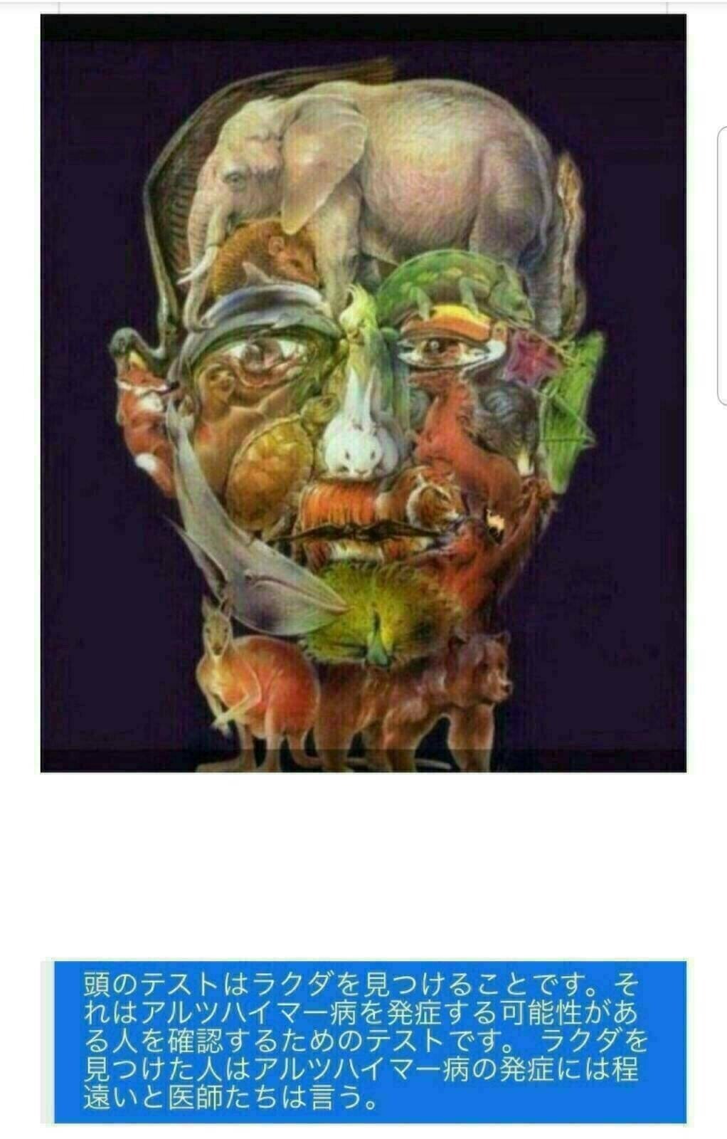 ラクダを探す頭のテスト 高橋 淳 Jun Takahashi Note ラクダを探す頭のテスト 高橋 淳 Jun Takahashi Note