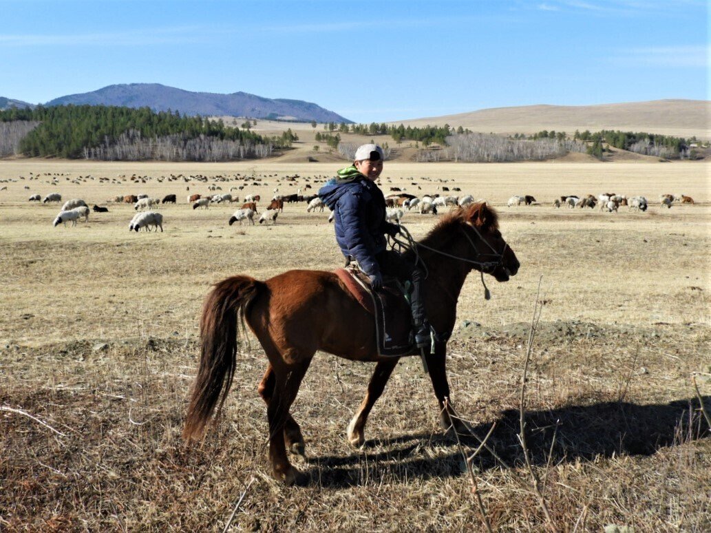 モンゴル 我々と似た顔をした知られざるご近所 浅地亮 自転車旅で見る世界 Note