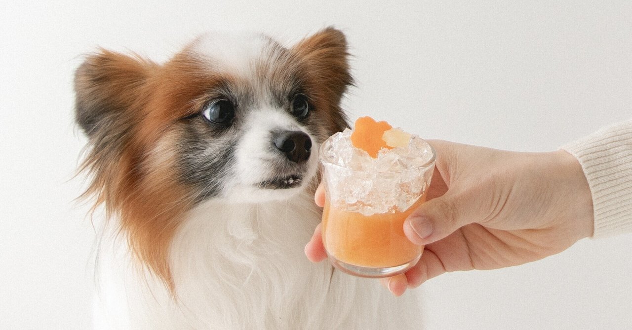 にんじんとりんごのようかん風グラススイーツ 手作り犬おやつレシピ 犬ごはん先生いちかわあやこ Official Web Site
