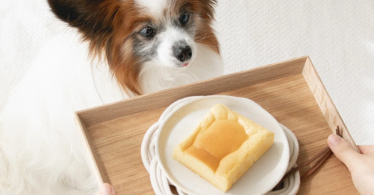 卵ひとつ パウンドケーキ型で犬用の台湾カステラを作ってみました 手作り犬おやつ 犬ごはん先生 いちかわあやこ オフィシャルブログ Powered By Ameba