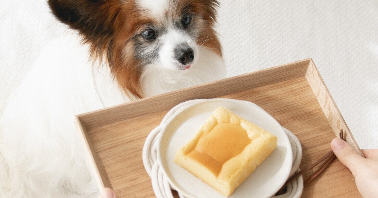 卵ひとつ パウンドケーキ型で犬用の台湾カステラを作ってみました 手作り犬おやつ 犬ごはん先生 いちかわあやこ オフィシャルブログ Powered By Ameba