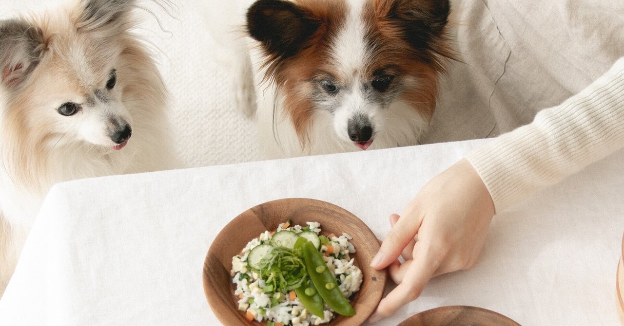 冷凍つくりおきもok 高野豆腐と鯛の春のばら寿司 月額限定 手作り犬ごはんレシピ 犬ごはん先生いちかわあやこ Official Web Site 冷凍つくりおきもok 高野豆腐と鯛の春のばら寿司 月額限定 手作り犬ごはんレシピ 犬ごはん先生いちかわあやこ Official Web Site