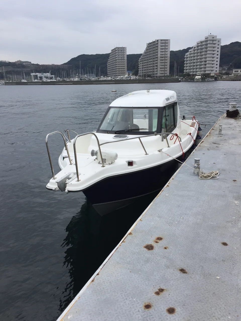 画像4