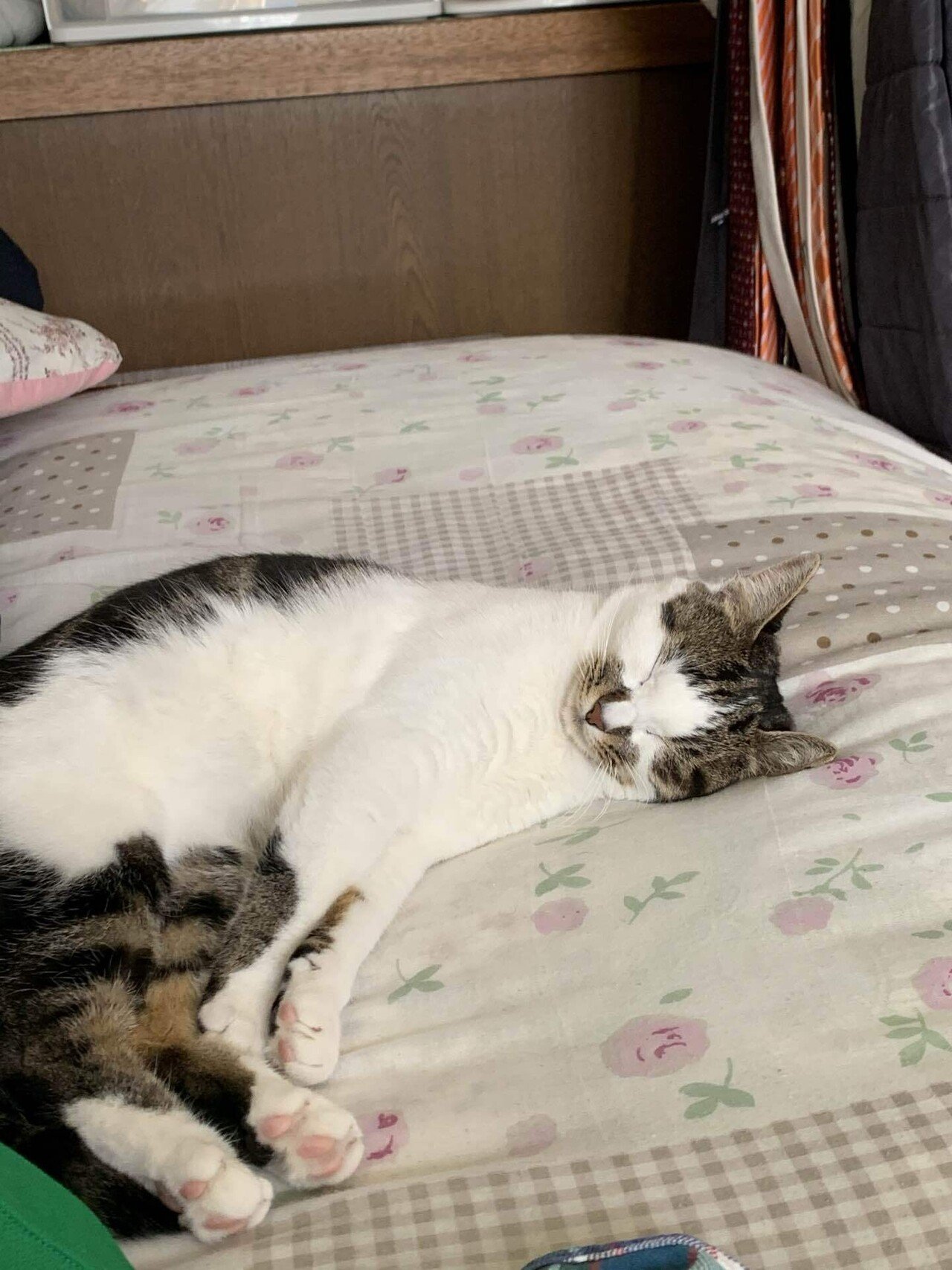 今日3 10は我が家の猫ちゃん の誕生日 生まれた日が不明なので この日に決めた 毎日元気で何より 猫ちゃん が家族になってくれて生活が変わりました 困ったちゃんな日もあるけど 感謝しかありません ミノテル Note 今日3 10は我が家の猫ちゃん の誕生日 生まれた日が不明なので この日に決めた 毎日元気で何より 猫ちゃん が家族になってくれて生活が変わりました 困ったちゃんな日もあるけど 感謝しかありません ミノテル Note