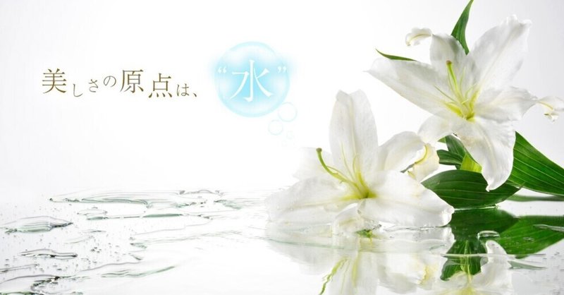 ホワイトリリー化粧品のお勉強デー 高坂夏子 こうさか なつこ なっちゃん Note