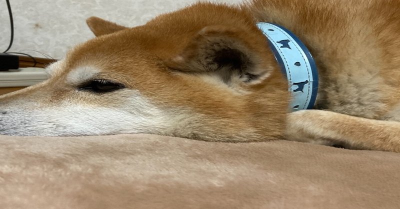 眠たいんだもん コロ Note