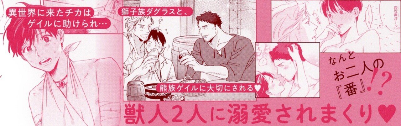 商業BL 小説 愛を与える獣達 シリーズ 愛を与える獣達 むすんだ絆と愛しき『番』 ｜ リブレ ｜ 茶柱一