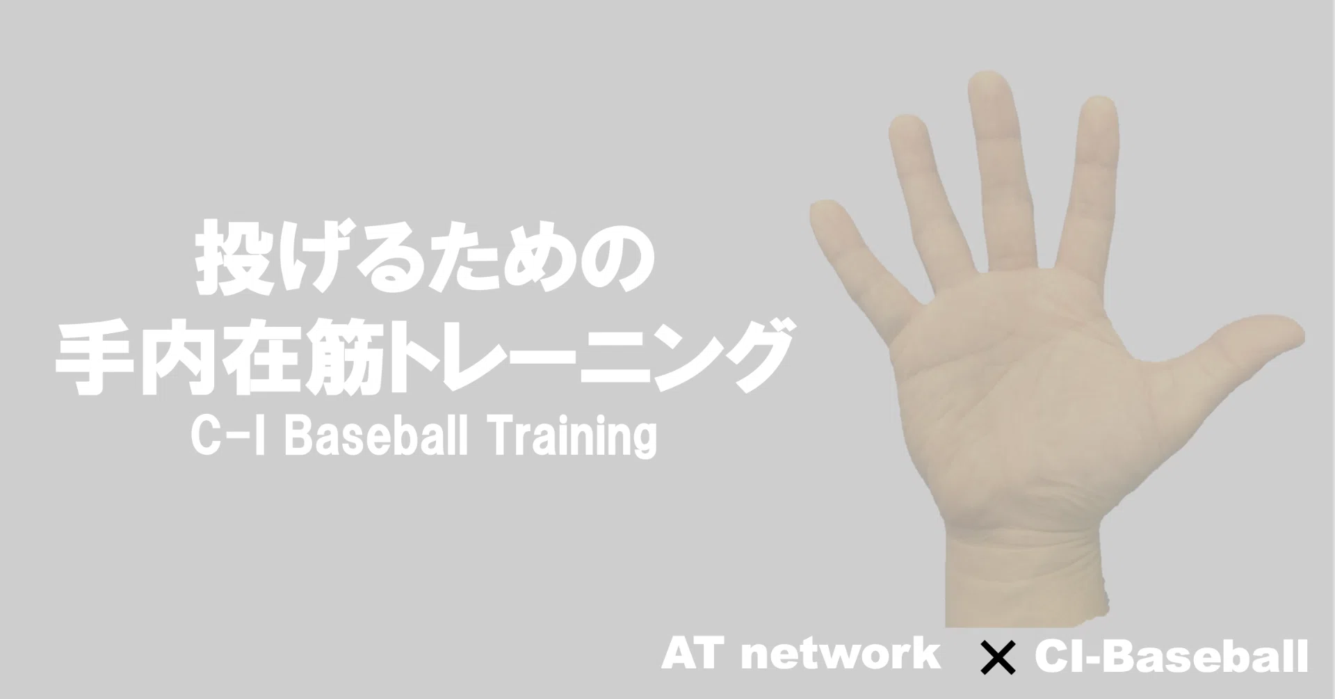 投げるための手内在筋トレーニング C I Baseball Note